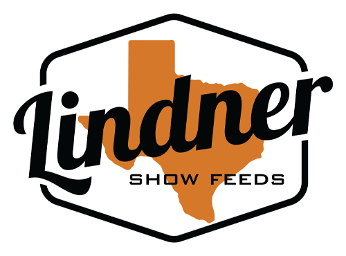 Lindner Logo